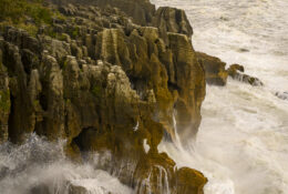 New Zealand 2025 (2 group) (68/84)